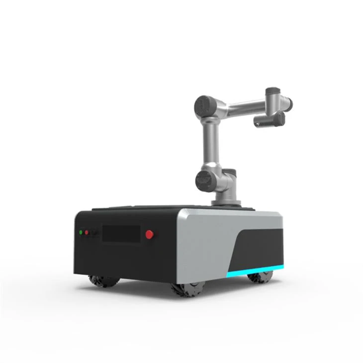 Humanoid Dance Robot Boxing Fighting Robot Double-Legged Voice MP3 Transcends 17 Degrees ...