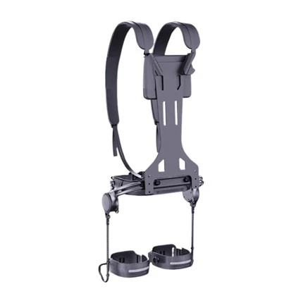 Powered Waist Exoskeleton